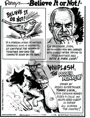 Ripley's Believe It or Not on Wednesday January 12, 2005 Comic Strip