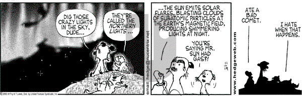 Over the Hedge on Wednesday November 19, 2003 Comic Strip