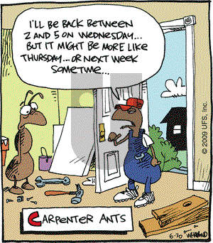 Reality Check on Tuesday June 30, 2009 Comic Strip