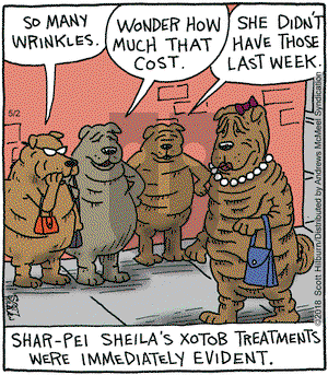 The Argyle Sweater on Wednesday May 2, 2018 Comic Strip