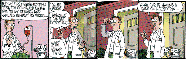 Monty - Tuesday September 24, 2024 Comic Strip