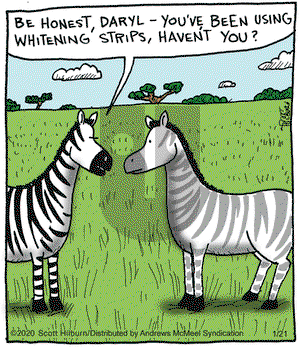 The Argyle Sweater on Tuesday January 21, 2020 Comic Strip