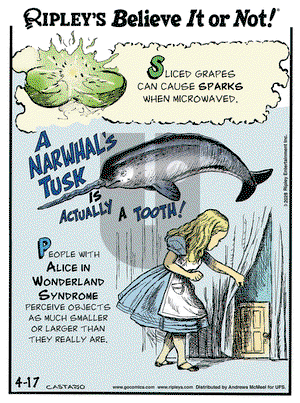 Ripley's Believe It or Not on Thursday April 17, 2025 Comic Strip