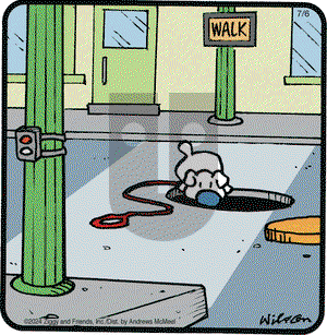 Ziggy - Saturday July 6, 2024 Comic Strip