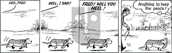 Fred Basset on Friday November 28, 2003 Comic Strip