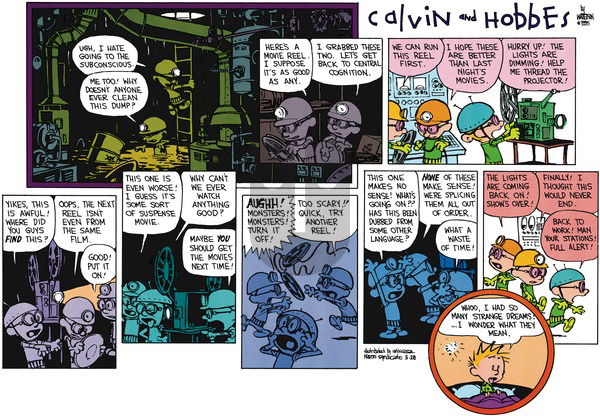 Calvin and Hobbes on Sunday May 28, 1995 Comic Strip