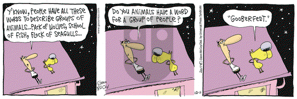 The Duplex on Wednesday December 11, 2013 Comic Strip
