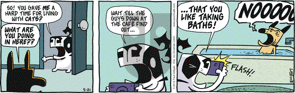Pooch Cafe on Wednesday May 21, 2014 Comic Strip