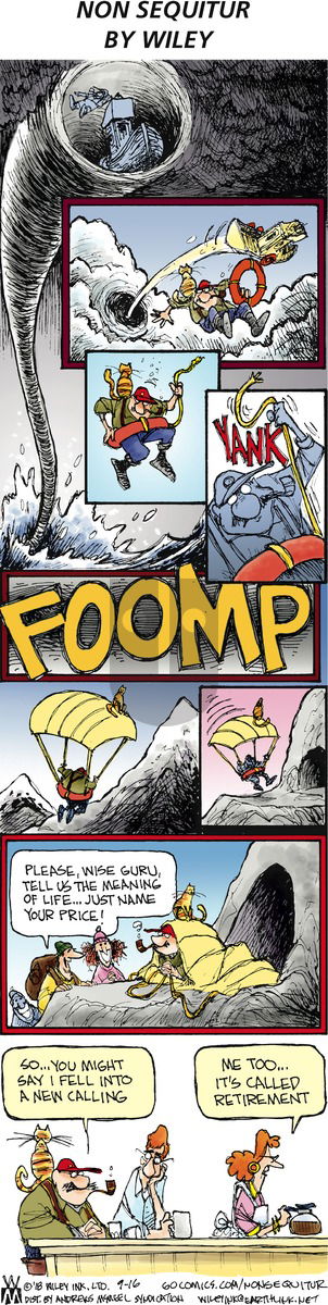 Non Sequitur on Sunday September 16, 2018 Comic Strip