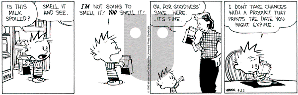 Calvin and Hobbes on Thursday April 22, 1993 Comic Strip