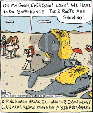 The Argyle Sweater on Tuesday April 6, 2010 Comic Strip
