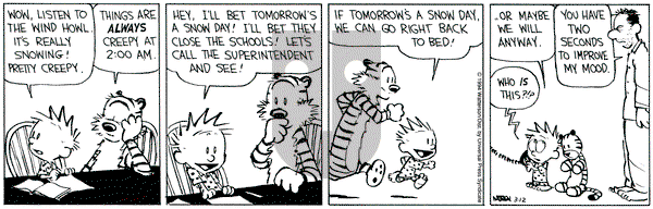 Calvin and Hobbes on Saturday March 12, 1994 Comic Strip