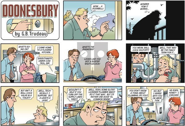 Doonesbury on Sunday October 26, 2008 Comic Strip