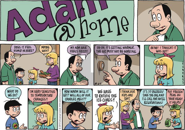 Adam@Home on Sunday August 25, 2013 Comic Strip
