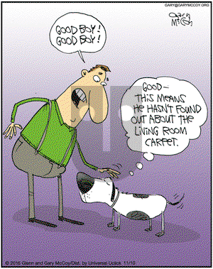 The Flying McCoys on Thursday November 10, 2016 Comic Strip