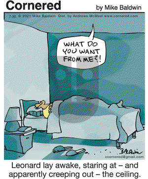 Cornered on Friday July 30, 2021 Comic Strip