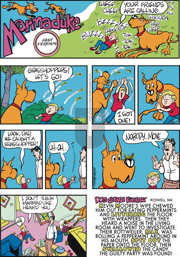 Marmaduke on Sunday October 17, 2021 Comic Strip