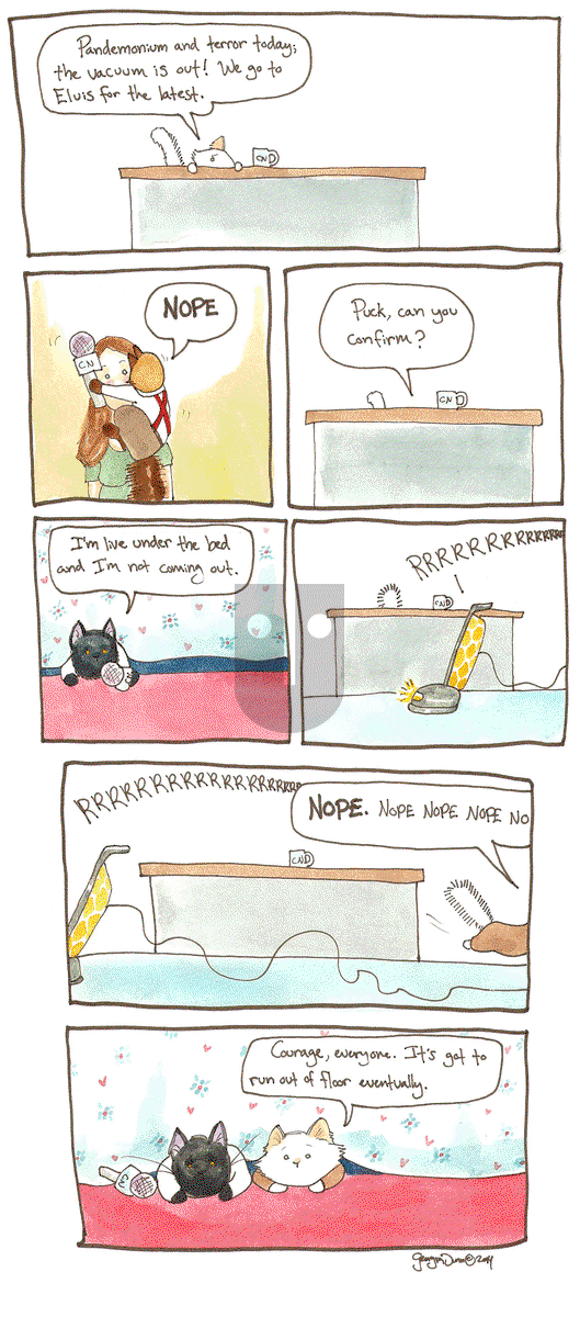 Breaking Cat News on Monday November 24, 2014 Comic Strip