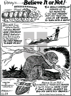 Ripley's Believe It or Not on Friday November 23, 2001 Comic Strip