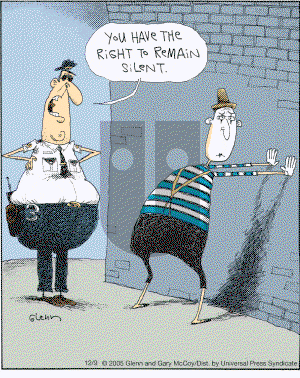 The Flying McCoys on Friday December 9, 2005 Comic Strip