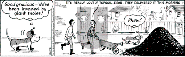 Fred Basset on Tuesday October 26, 2004 Comic Strip
