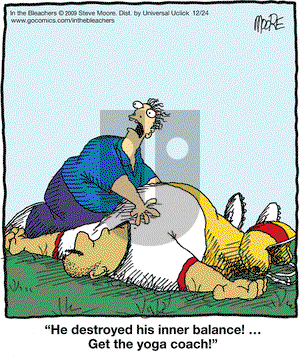 In the Bleachers on Thursday December 24, 2015 Comic Strip