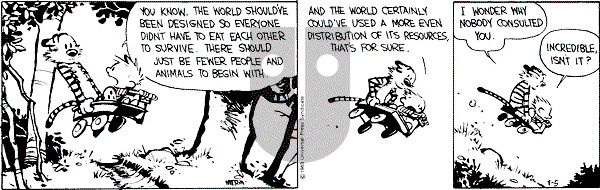 Calvin and Hobbes - Saturday August 5, 1989 Comic Strip
