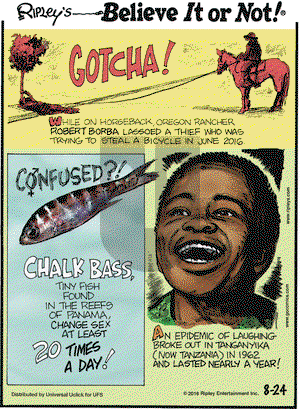 Ripley's Believe It or Not on Wednesday August 24, 2016 Comic Strip