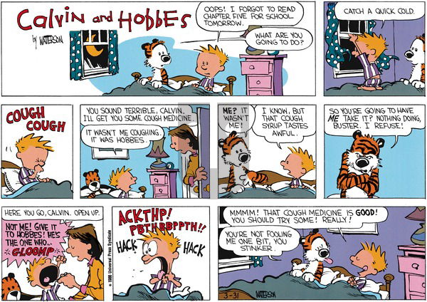 Calvin and Hobbes on Sunday April 20, 1986 Comic Strip