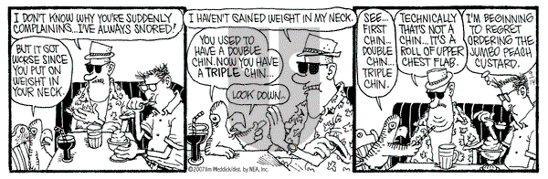 Monty on Saturday September 15, 2007 Comic Strip