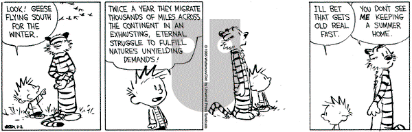 Calvin and Hobbes on Thursday November 2, 1995 Comic Strip