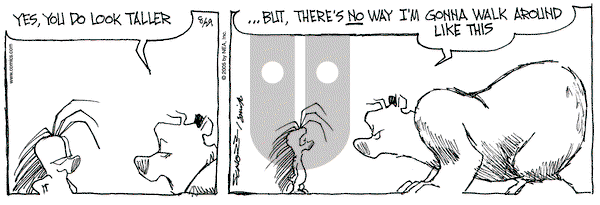 The Grizzwells on Monday August 29, 2005 Comic Strip