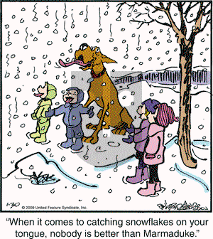 Marmaduke on Friday January 30, 2009 Comic Strip