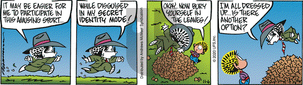 Rose is Rose on Friday November 6, 2020 Comic Strip