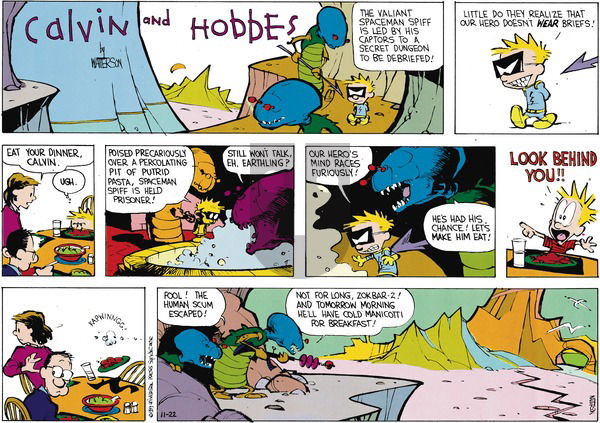 Calvin and Hobbes on Sunday January 29, 1989 Comic Strip
