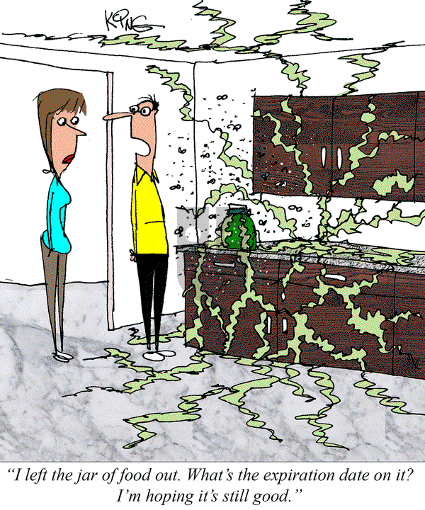 Jerry King Comics on Tuesday June 17, 2025 Comic Strip