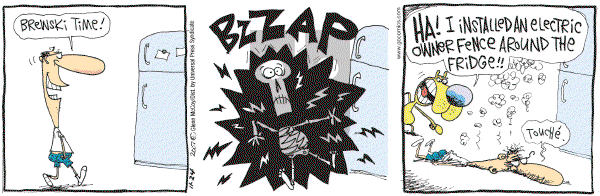 The Duplex on Saturday November 24, 2007 Comic Strip