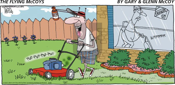 The Flying McCoys on Sunday March 26, 2017 Comic Strip