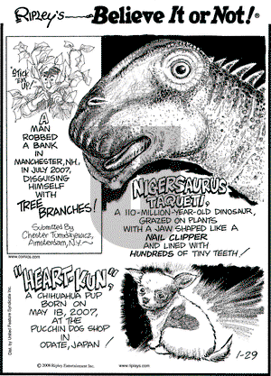 Ripley's Believe It or Not on Tuesday January 29, 2008 Comic Strip