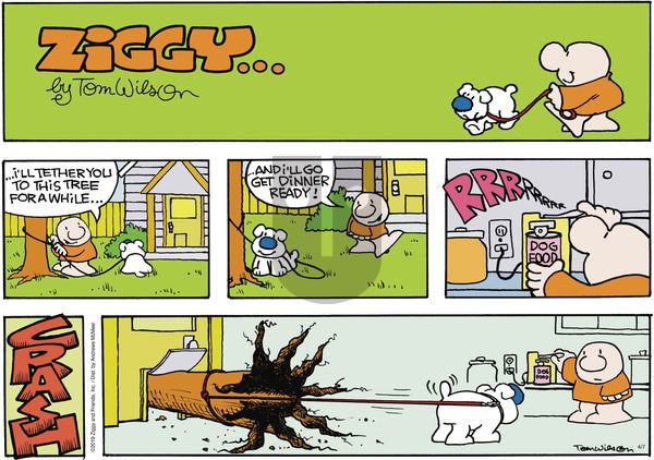 Ziggy on Sunday April 7, 2019 Comic Strip