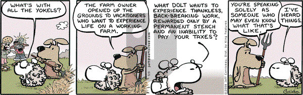 DeFlocked on Tuesday September 9, 2008 Comic Strip