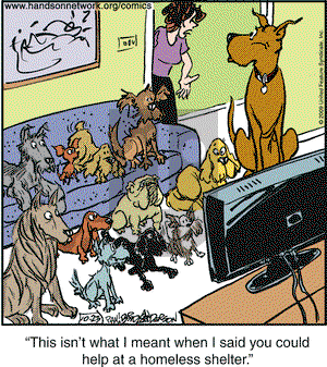 Marmaduke on Friday October 23, 2009 Comic Strip