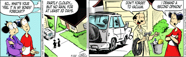 Baldo - Tuesday July 22, 2003 Comic Strip
