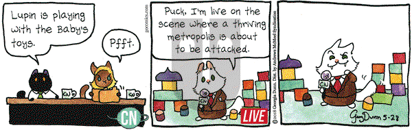 Breaking Cat News on Monday May 28, 2018 Comic Strip