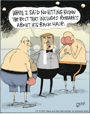 The Flying McCoys - Thursday January 5, 2012 Comic Strip
