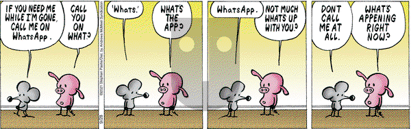 Pearls Before Swine - Tuesday September 28, 2021 Comic Strip
