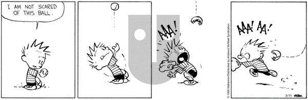 Calvin and Hobbes on Tuesday March 11, 2025 Comic Strip