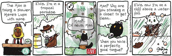 Breaking Cat News on Tuesday June 5, 2018 Comic Strip