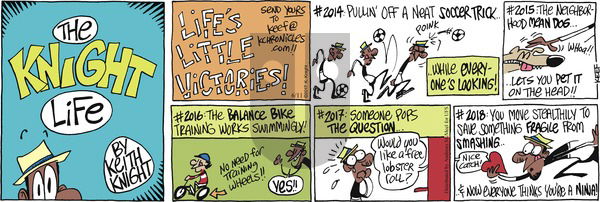 The Knight Life on Sunday June 11, 2017 Comic Strip