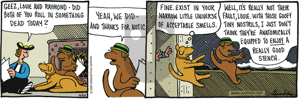 Overboard on Saturday October 15, 2005 Comic Strip